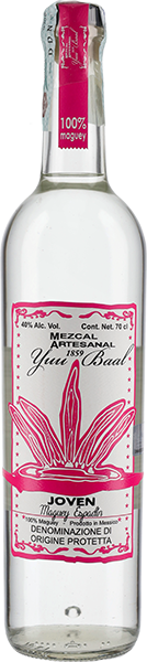 MEZCAL YUU BAAL JOVEN