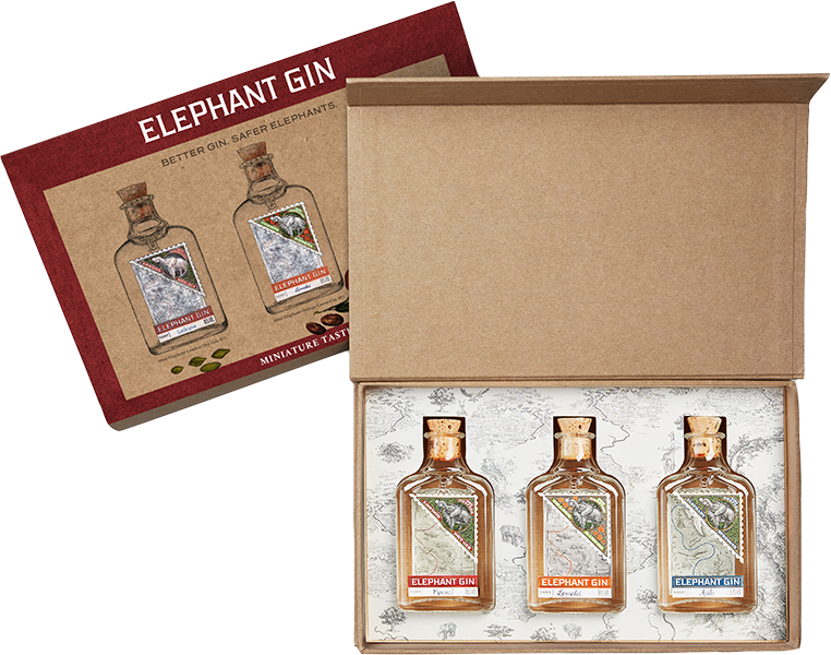 GIN ELEPHANT SET MIGNON V.2 | PA