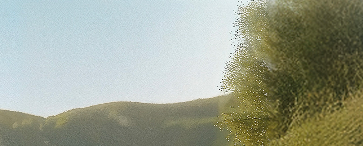 TUTTI FRUTTI